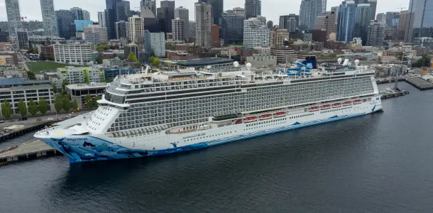 Norwegian-Bliss